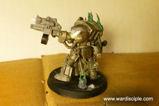 Close-Up of the Skull